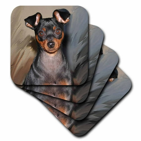 3dRose Miniature Pinscher, Soft Coasters, set of 4
