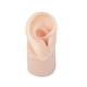 thumbnail image 3 of Modelo de oreja de silicona, modelo de oreja real artificial, textura delicada, entrenamiento flexible. Derecha, 3 of 9