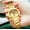 Radar Gold Women's, variant on Men's Watches Niche Design Fashion Men's Watches Durable Luxury Waterproof Quartz Watches Creative Personality Business Wristwatches Men's Watches