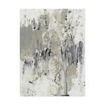 Trademark Fine Art 'Paynes Splash II' Canvas Art by Jennifer Goldberger