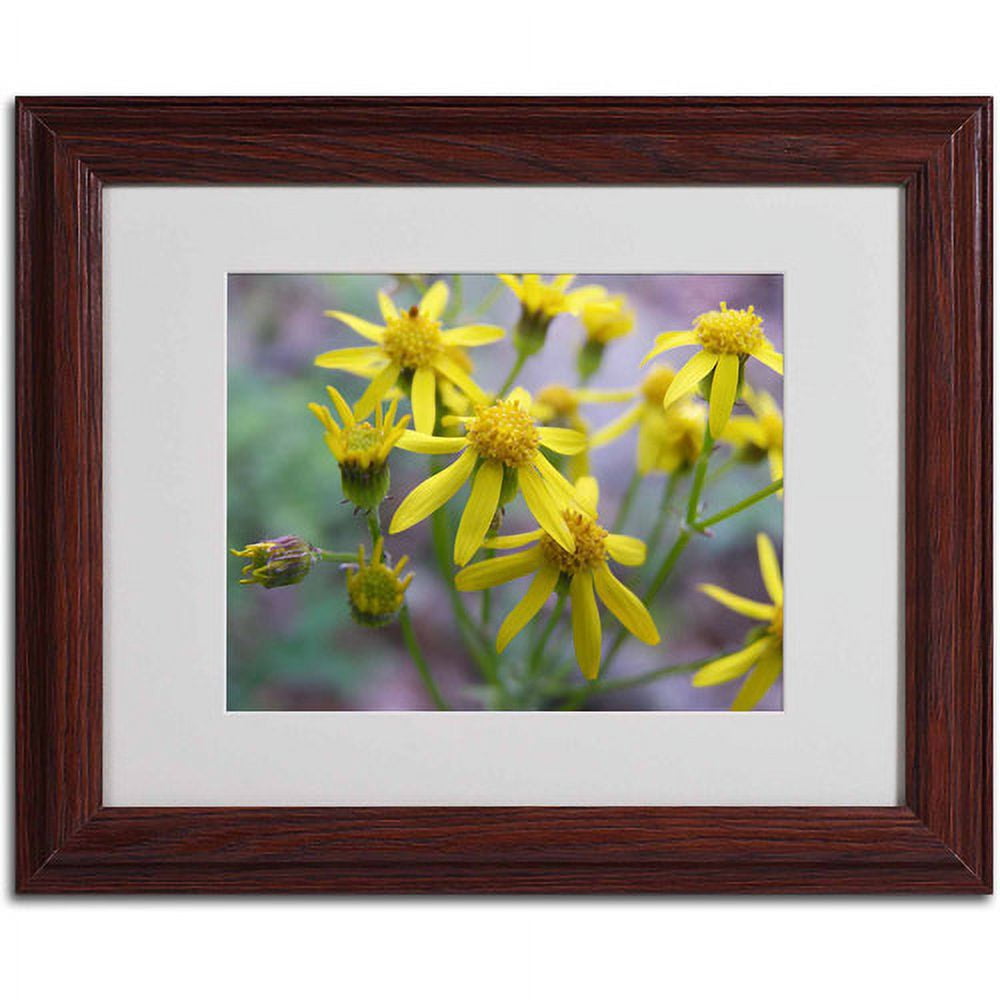 Trademark Fine Art "Intriguing Dynasty" Canvas Art by Monica Fleet, Wood Frame