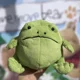 thumbnail image 4 of Nuevo juguete de peluche de rana de lluvia Ricky de 20 cm, muñeco de rana de dibujos animados, regalo para niños, 4 of 4