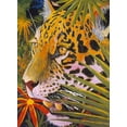 thumbnail image 2 of Stevenson, Graeme 19x24 Black Ornate Wood Framed with Double Matting Museum Art Print Titled - Jaguar Jungle, 2 of 4