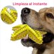 thumbnail image 5 of Juguete Estrella Limpiadora Chirriante Perro 16 Cm Turquesa The Small Moment No se aplica, 5 of 5