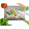 thumbnail image 2 of Caroline's Treasures Pomeranian Full Body Glass Cutting Board Large, 2 of 2