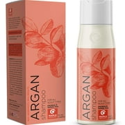 Maple Holistics Moroccan Argan Oil Shampoo for Dry Damaged Hair Care with Pure Argan Oil, 10 Fl Oz