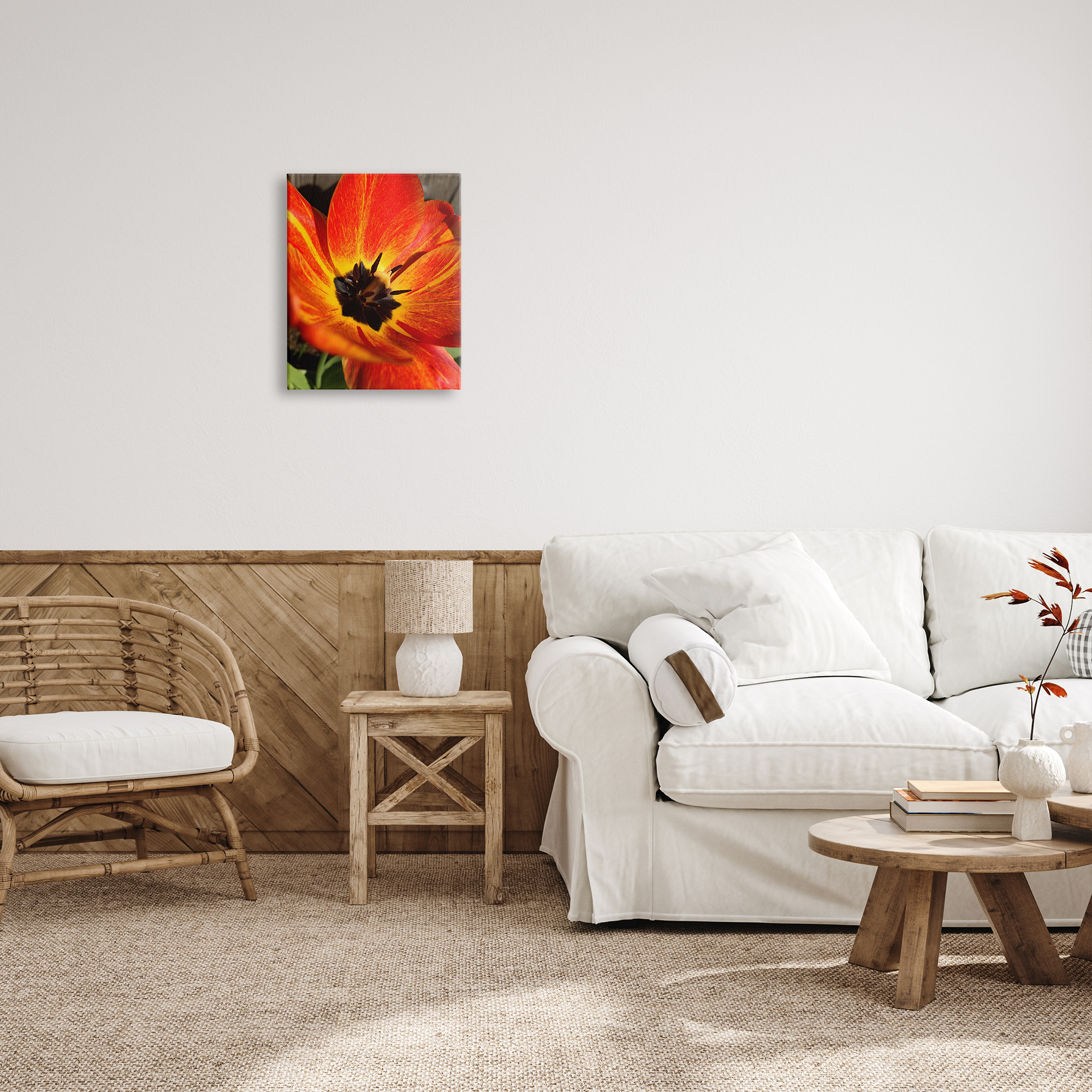 Stupell Industries Bold Red Poppy Flower Blossom Petals Photograph Gallery Wrapped Canvas Print Wall Art, Design by Heidi Bannon