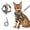 grey, variant on Wanheart Summer cat Chest Harness and Leash, Anti-Escape Adjustable Soft mesh cat Leash and Chest Harness Set for All Types of Cats cat Vests (Emerald, M)