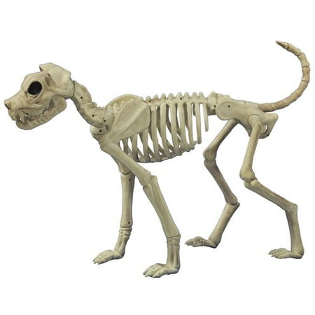Buster Bonez 28  Skeleton Dog Halloween Decoration