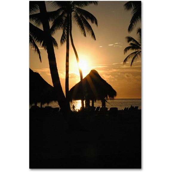 Trademark Fine Art "Majical" Canvas Art by Monica Mize