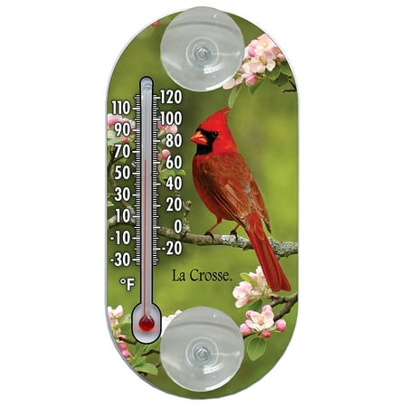 204-104 Traditional Thermometer with Cardinal Design, 4