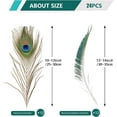 thumbnail image 2 of Plumas de pavo real THARAHT, naturales, 25 a 30 cm, para manualidades, 24 unidades, 2 of 7