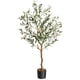thumbnail image 1 of Árbol oliva artificial 4ft con tronco y frutos realistas, juego de 2 plantas para decoración falsa, 1 of 7
