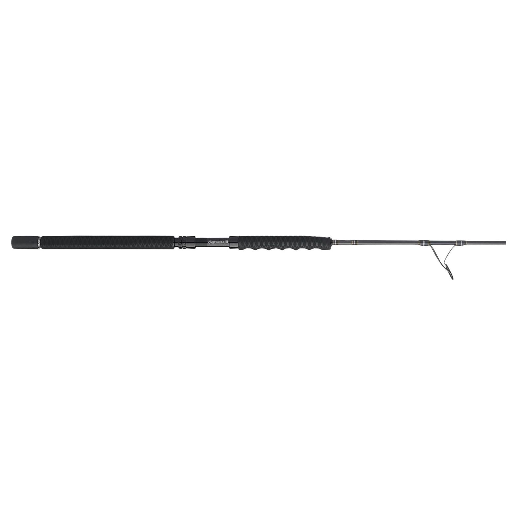 PENN Carnage III Spinning Surf Rod, 11' Fishing Pole, Medium Heavy Power