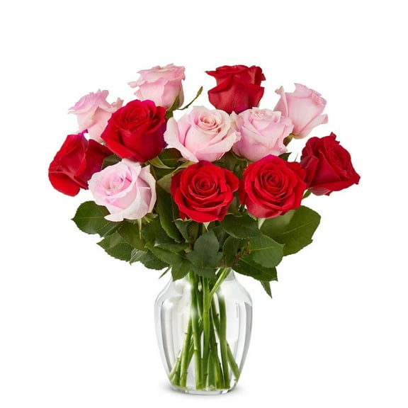 From You Flowers - One Dozen Red and Pink Roses for Birthday, Anniversary, Get Well, Congratulations, Thank You, All Occasions