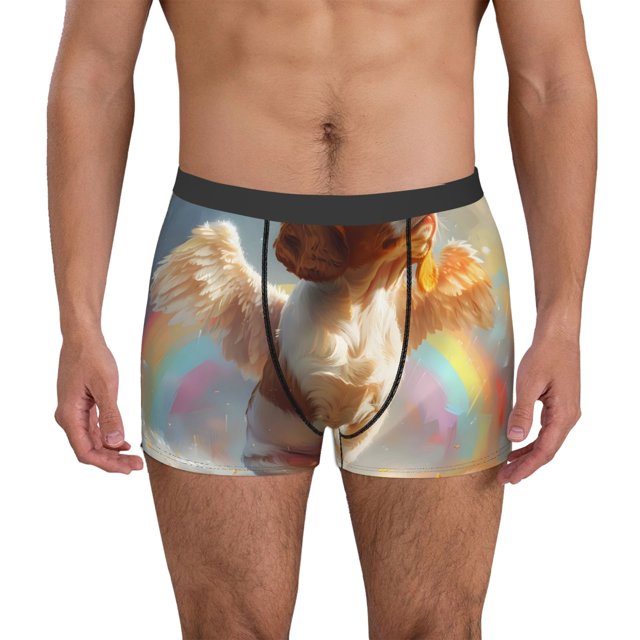 Balery Rainbow English Cocker Spaniel Calzoncillos bóxer para hombre, ropa interior de algodón suave y transpirable con cinturilla de nailon-XX-Large