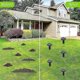 thumbnail image 5 of 8 Pack Solar Powered Snake Repellent for Outdoors,Ultrasonic Snake Repellent,Solar Snake Repellent f, 5 of 5