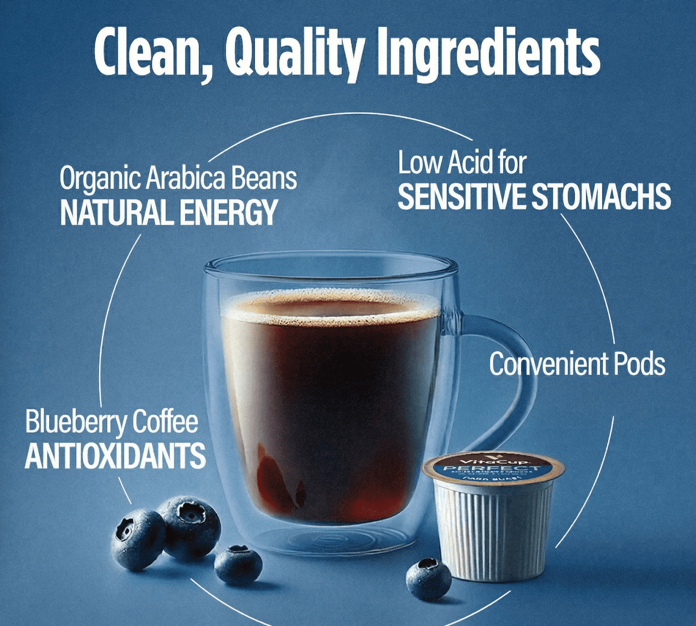 VitaCup Perfect Blueberry Flavored Low Acid Coffee Pods, Single Serve Pods Compatible with Keurig K-Cup Brewers, 16 Ct