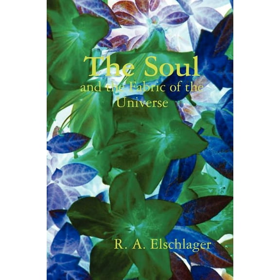 The Soul and the Fabric of the Universe (Paperback)