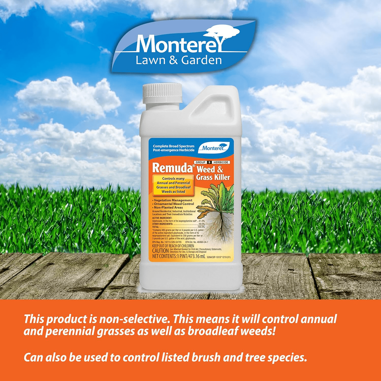 Remuda Non-Selective Post-Emergent Herbicide -  16 fl oz Bottle by Monterey