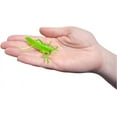 thumbnail image 5 of Zugar Land Insect Explorers Large Insect Set, 12 Pack, 5 of 9