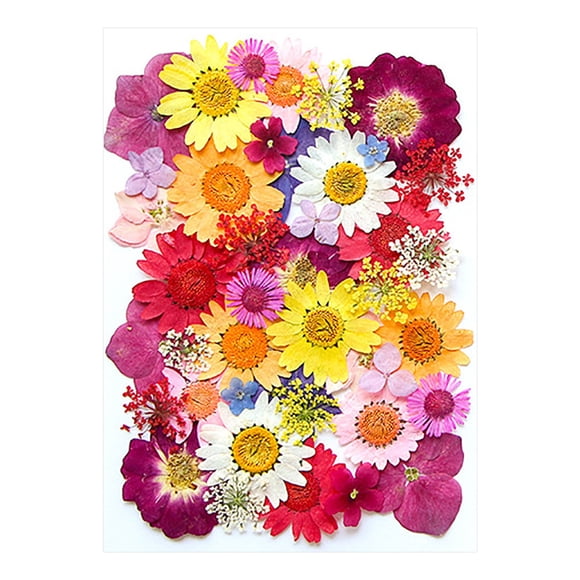 Flores Secas para Resina, Seco Y en Relieve Kit de Flores 14.5x10.5cm para Velas Artesanías Diy Joyería Decoración Del Hogar, Navidad Kits de Artesanía para Moldes de Resina Fabricación de Velas