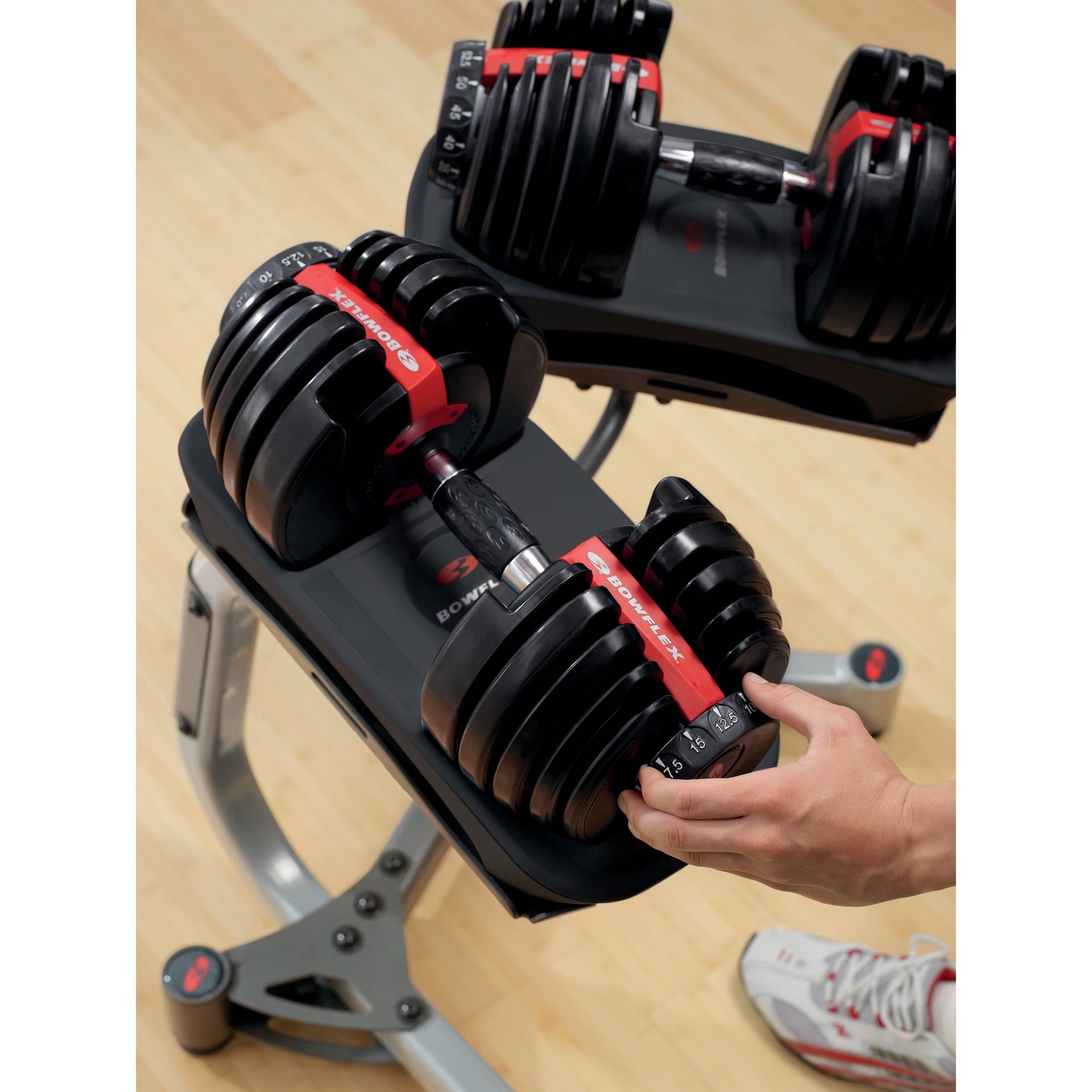 bowflex selecttech 552 dumbbells and bowflex 3.1 weight bench