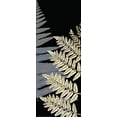 thumbnail image 2 of Allen, Kimberly 9x18 Black Ornate Wood Framed with Double Matting Museum Art Print Titled - Fern Gold 2, 2 of 4