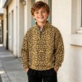 thumbnail image 2 of JAJAHO Kids Boys Leopard Neck Sweatshirt Quarter Zip Pullover Long Sleeve Sweatshirts 2-14Y, 2 of 6