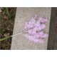 thumbnail image 1 of Nvzi Simulación de flores de escarcha de cinco puntas de una sola rama de niebla de flores falsas para decoración de fondo de salón de bodas, plantas artificiales Thefogisbrightred，Rose, 1 of 3