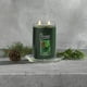 thumbnail image 3 of Candle Yankee Candle con aroma a bálsamo y cedro, 650 ml, 3 of 4