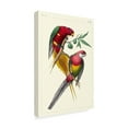 thumbnail image 2 of Trademark Fine Art 'Lemaire Parrots III' Canvas Art by C.L. Lemaire, 2 of 4