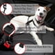 thumbnail image 5 of Cinturón de seguridad universal para coche, resistente y ajustable, de 41 a 71 cm, para perros y gatos, de nailon negro., 5 of 5