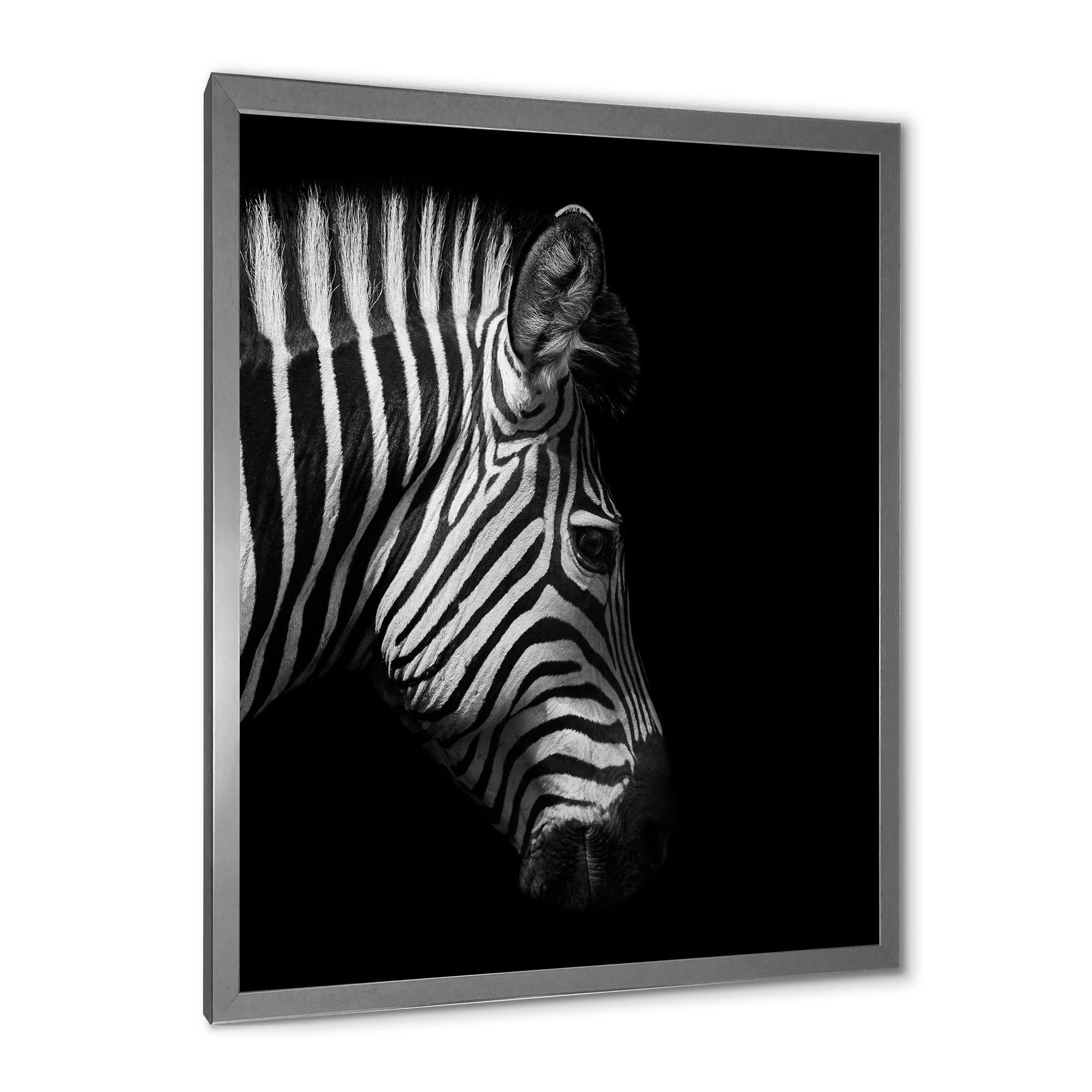 Designart 'Black and White Portrait of Zebra Head' Farmhouse Framed Art Print