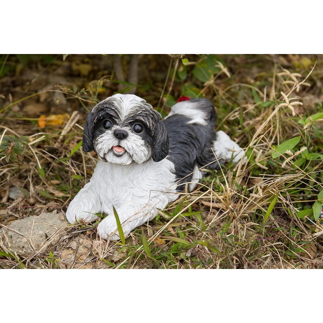 Hi-Line Gift 87797-BK Shih Tzu Lying Down Black/White Statue