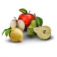 thumbnail image 3 of Three Ratels C050 Hermosa fruta fresca manzana PVC pegatina decoración del hogar pegatina de pared calcomanía de refrigerador, 3 of 5