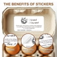 thumbnail image 3 of 160 Pcs Egg Carton Labels Washed Unwashed Chicken Egg Sticker PET Adhesive Egg Packaging Sticker for Box Container Farm Supplies 2x4 Inch DIY, 3 of 7