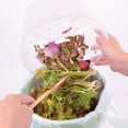 thumbnail image 2 of HIC Kitchen Natural Plant-Based Compost Bags, Biodegradable, BPI ASTM D6400, OK and Home OK Compostable, 2 Sets of 50, 2 of 3