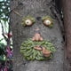 thumbnail image 4 of Tree Faces Decor Outdoor – Tree Hugger Yard Art Garden Decoration – Unique Garden Peeker para exteriores e interiores – Old Man Tree Art, 4 of 5