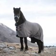 thumbnail image 6 of Winter Horse Rug Warmer Jacket Insulated Blanket For With Soft Imitation And Windproof Outer Layer, 6 of 7