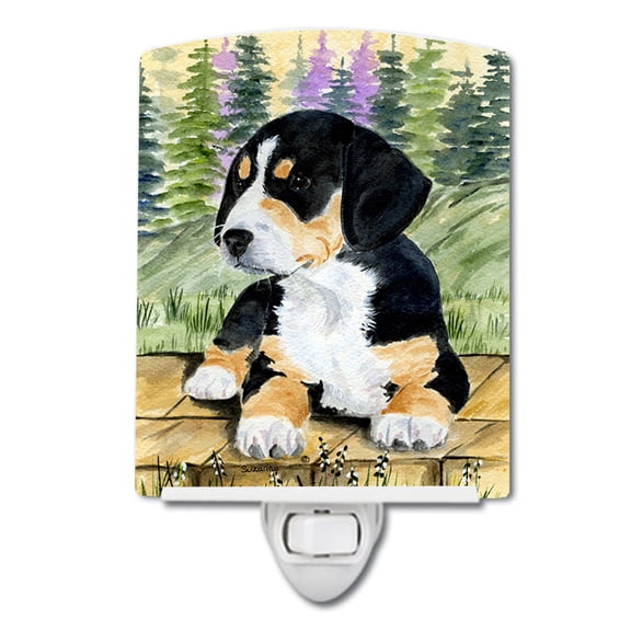 Caroline's Treasures SS8132CNL Entlebucher Mountain Dog Ceramic Night Light, 6x4x3", multicolor