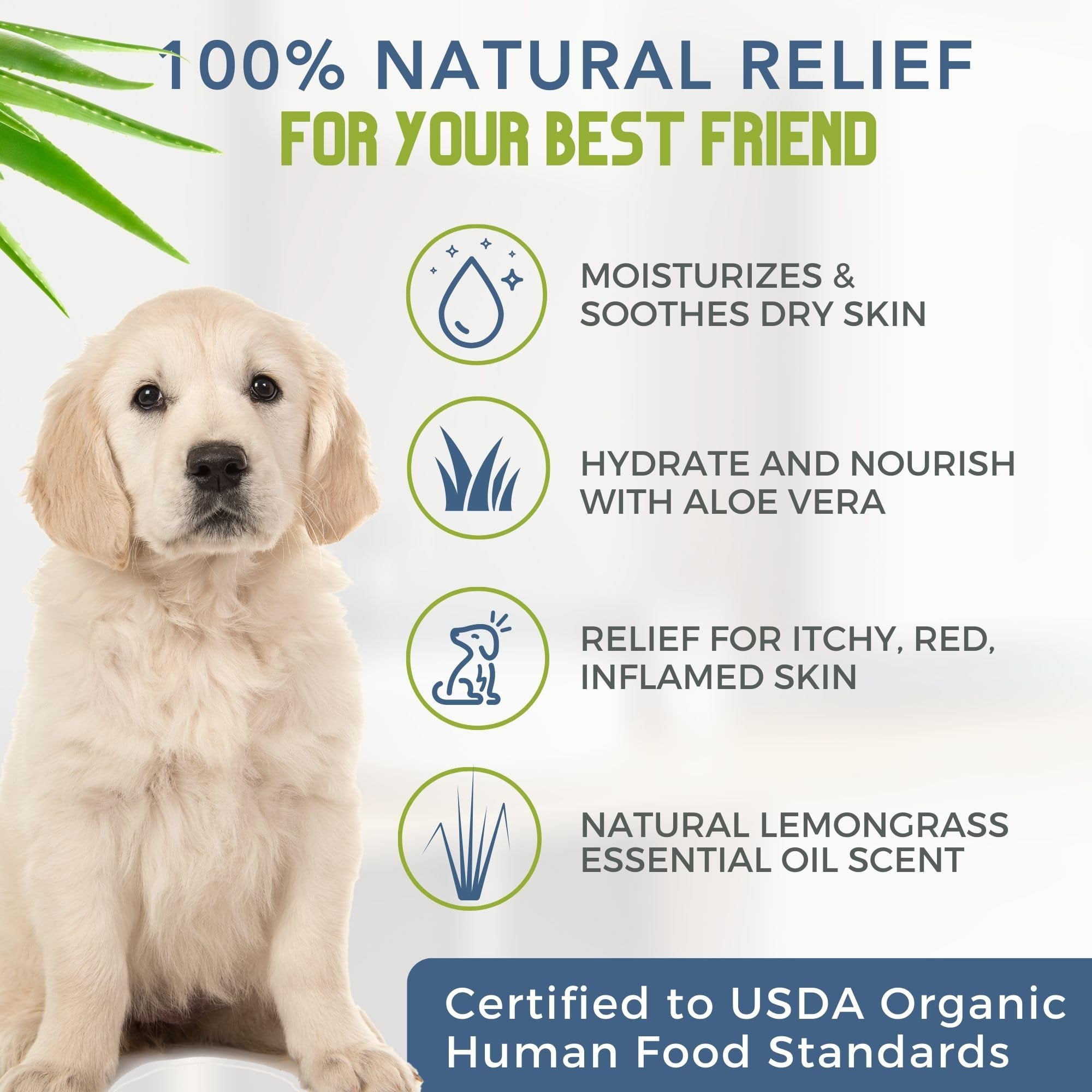 4 Legger All Natural Dog Shampoo with Aloe and Lemongrass Hypoallergenic Soothing for Dry Itchy Allergy Sensitive Skin Biodegradable Made in USA 16 oz Walmart