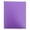 Purple, variant on Plastic Folder with Pockets Prongs Colored Folders in Assorted Colors with Fasteners A4 Clip Folder, Colored Plastic File Holder, Pocket Folder with Prongs School Office Document Folder(Blue)