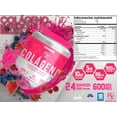 thumbnail image 2 of HOLIX LAB COLAGENO HIDROLIZADO FRANCES 600G  FRUTOS ROJOS, 2 of 2