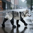 thumbnail image 6 of Waterproof Dog Boots for Small/Medium Dogs, TSV Dog Paw Protectors Anti-Slip Dog Suspender Boots for Outdoor Walking, 6 of 7