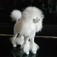 thumbnail image 4 of Escultura de caniche realista Figura decorativa Escultura de cachorro Figura de animal Blanco, 4 of 7
