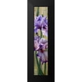 thumbnail image 2 of McLaughlin, Jan 6x14 Black Modern Framed Museum Art Print Titled - Iris I, 2 of 5