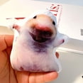 thumbnail image 3 of [COD] New Haha Mouse Voice Pendant Laughing Hamster Voice Doll, 3 of 5