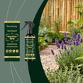 thumbnail image 2 of Neem Oil Spray for Plants with Peppermint Oil, 100ml Botanical Leaf Shine & Plant Dust Remover Cosmetic Grade, Natural Foliage Cleaner for Indoor Houseplants Gardens & Herbs, 2 of 10