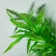 thumbnail image 3 of Accesorios para acuarios, decoración, pecera, simulación, plantas acuáticas de plástico, 3 of 8